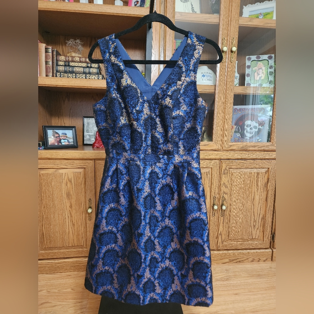 J.Crew V-Neck Dress